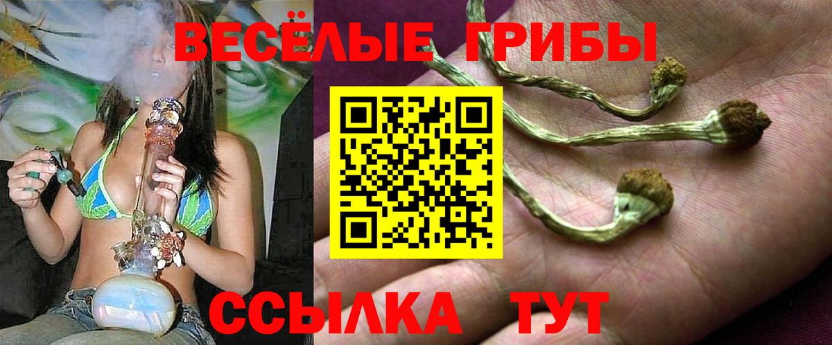 Новокубанск  Псилоцибиновые грибы MAGIC MUSHROOMS  Вход с VPN 